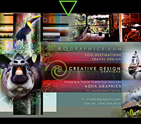 Web Designer For Green Tourism Website 