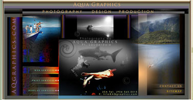 Aqua Graphics Marine Life Images - Sea Life Encounters-Interactions.. 