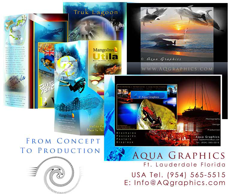 Dive Travel Brochure Design Services