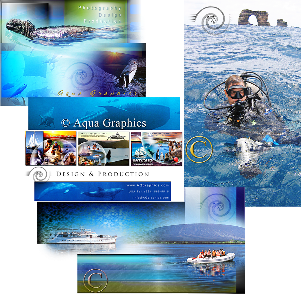Galapagos Travel and Tours 