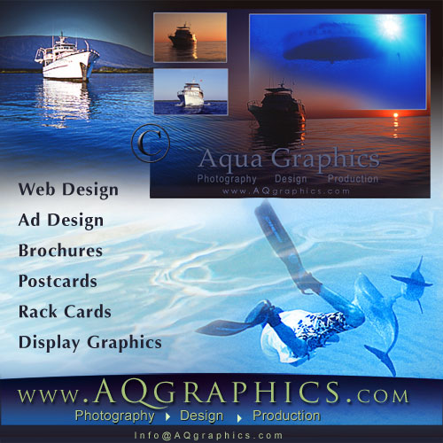 Yacht Charter Marketing Services ..Professional Web Design & Hosting